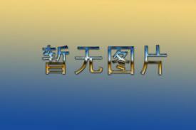 伊朗和印尼两国官员研究《古兰经》领域的联合活动